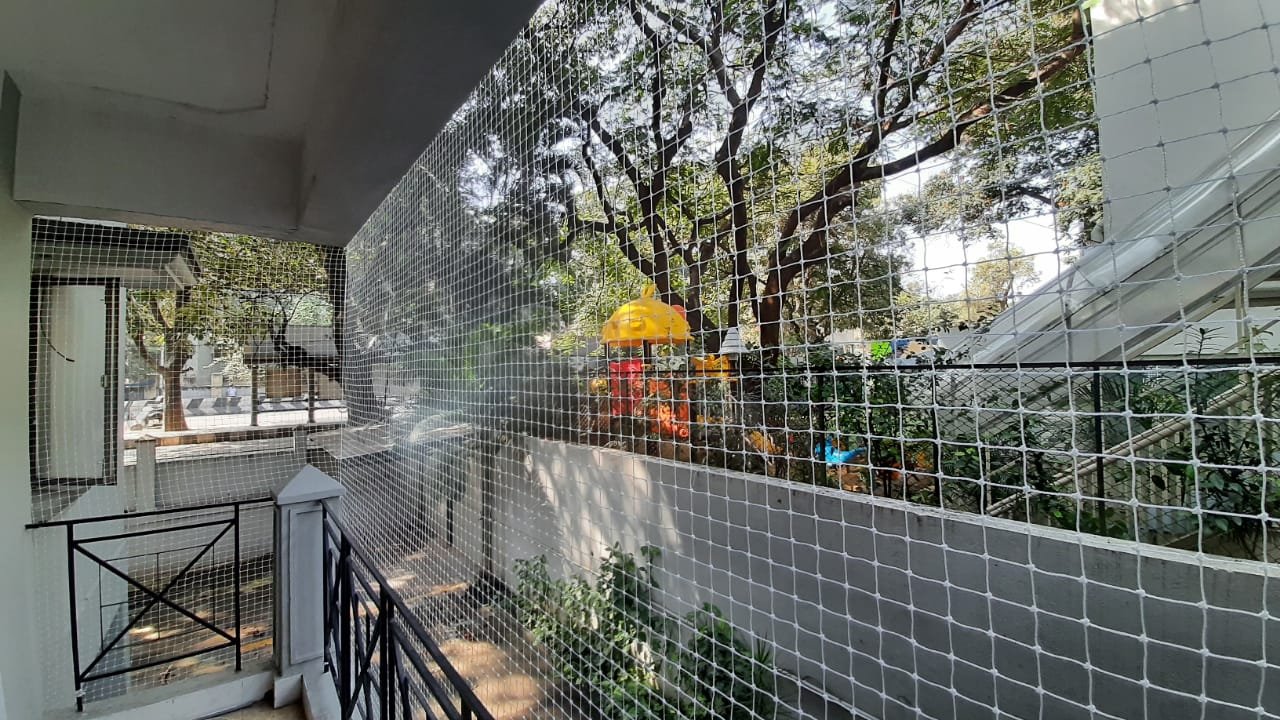 Bird Nets Near Me Chennai